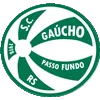 Ga&uacute;cho