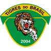 Tigres do Brasil